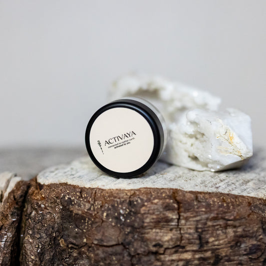 Honey Bee Mine - Lipbalm